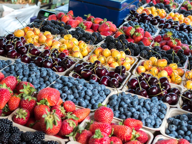Park Falls Farmers Market LLC