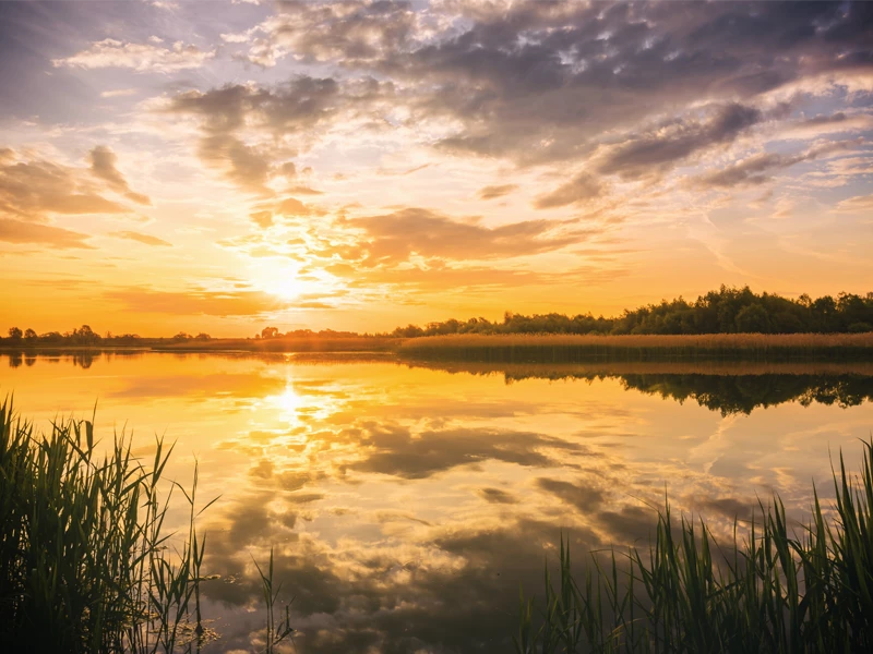 Butternut/Schnur Lake Association