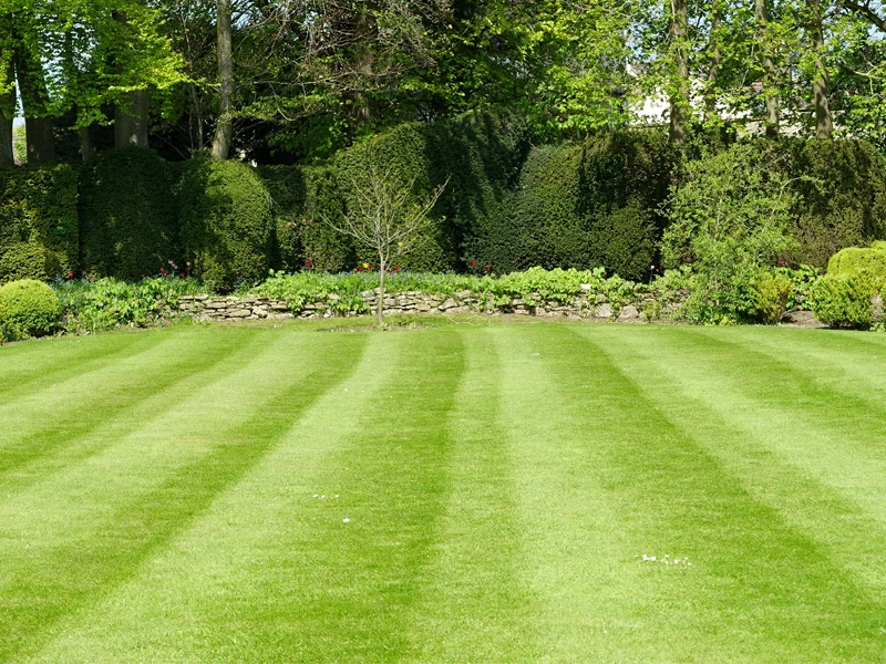 MasterCare Lawn Service LLC