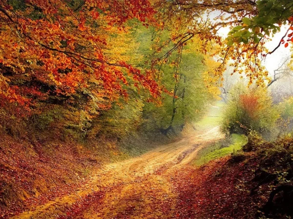 Price County Wisconsin Colors