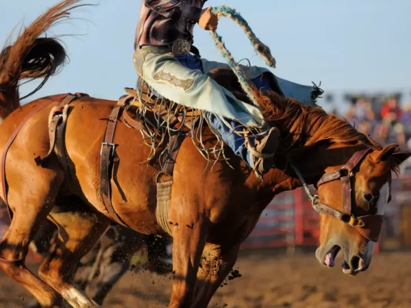Price County PRCA Rodeo