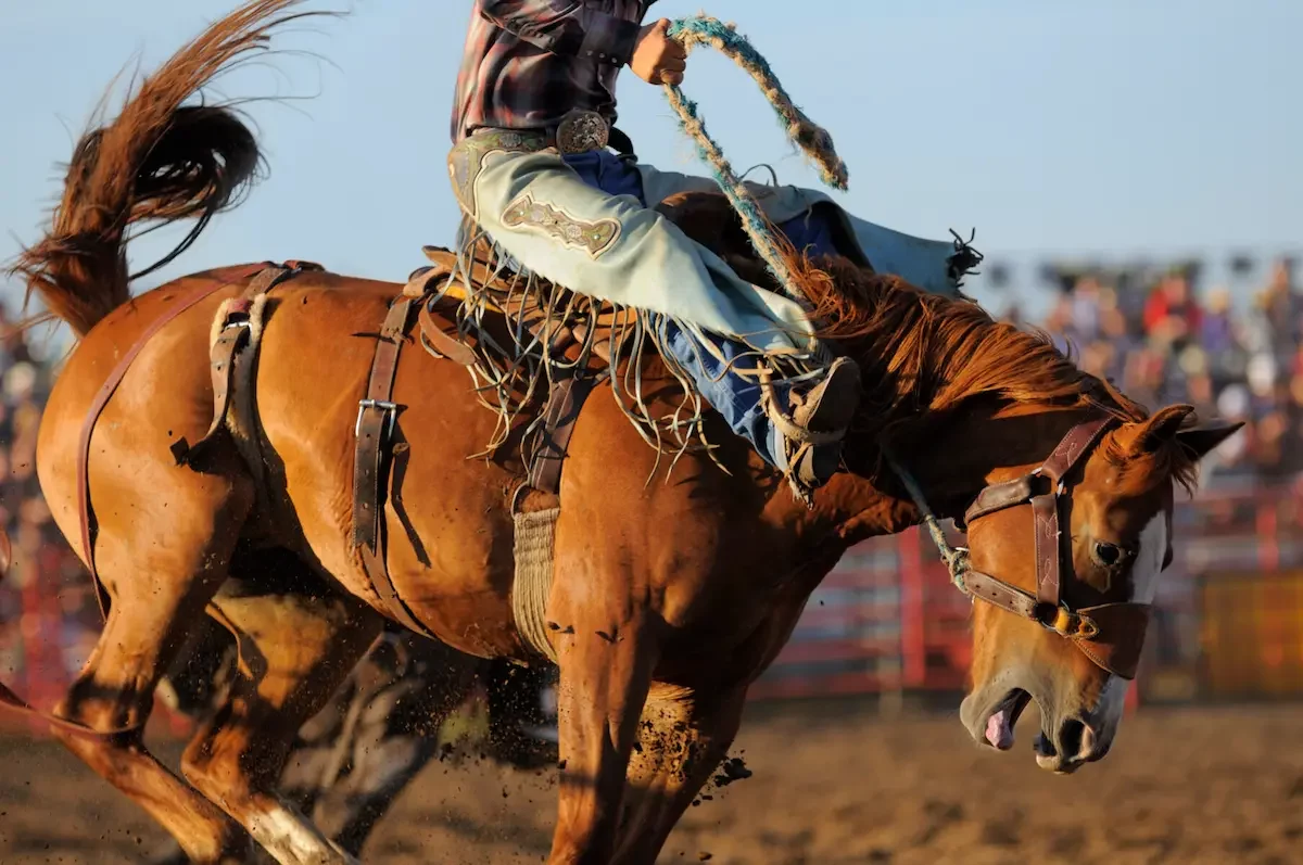Price County PRCA Rodeo