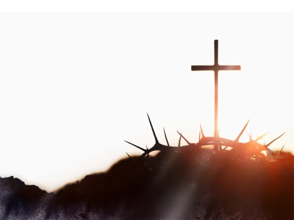 Our Savior Evangelical Lutheran Church