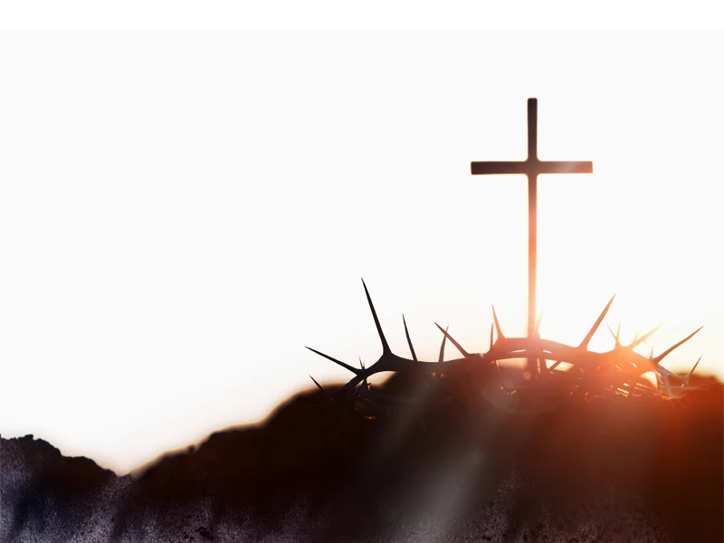 Our Savior Evangelical Lutheran Church