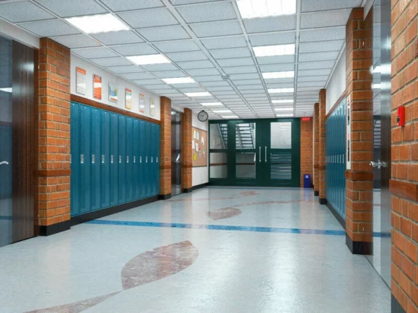 School District of Phillips